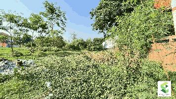 ขายที่ดินขนาด 181 ตร.วา ในซอยงบประมาณ ใกล้เมืองทอง ปากเกร็ดนนทบุรี